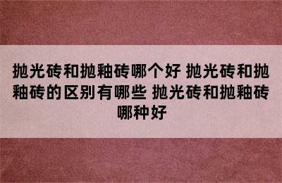 抛光砖和抛釉砖哪个好 抛光砖和抛釉砖的区别有哪些 抛光砖和抛釉砖哪种好